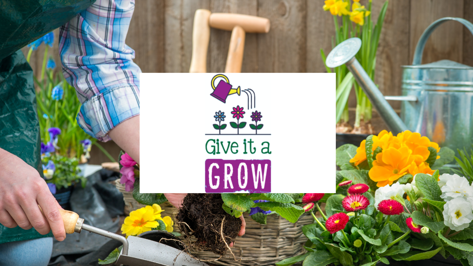 Give it a grow Give it a grow